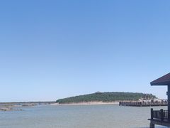 -南大港湿地风景区
