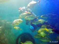 -常州海昌海洋探索馆