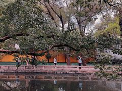 -西园戒幢律寺
