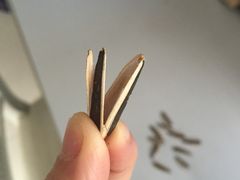-粒上皇(五岭店)