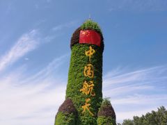 -金塔沙漠胡杨林景区
