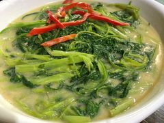 -石岐乳鸽村(南海第三分店)