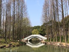 -大宁公园