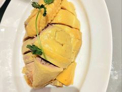 白斩散养鸡-红城阁·上海味道(四平路店)