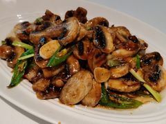 小炒鲜口蘑-眉州东坡(华联万柳店)