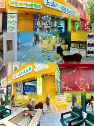 -神奇动物撸宠馆·羊驼·小浣熊·异宠(豫园店)