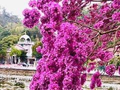 -红山村