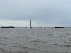 -上海吴淞炮台湾国家湿地公园
