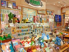 -猫的天空之城概念书店(束河店)