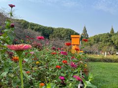 -苏州上方山国家森林公园