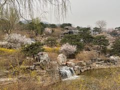 -北京西山国家森林公园