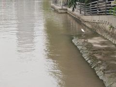 -西湖文化广场