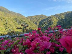 -梧桐山风景名胜区