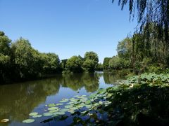 -新江湾城公园