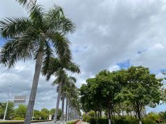 -厦门高崎国际机场-T3航站楼