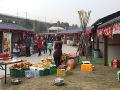 -秀丽东方
