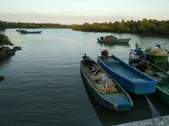 -东寨港红树林旅游区