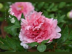 -六和塔文化公园