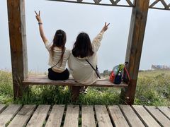 -白草畔自然风景区