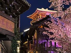 -茅山东方盐湖城景区