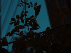 -T-COFFEE(长江花园店)