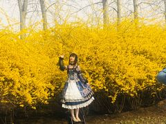 -奥林匹克森林公园北园-停车场