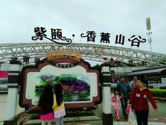 -紫颐香薰山谷景区