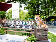 -J Create城市露营咖啡·简餐·宠物(上海动物园店)