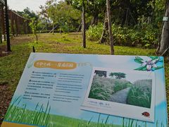 -福田红树林生态公园