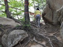 -黄椅山火山森林公园