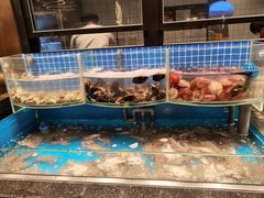 大闸蟹-钱小奴海鲜自助黑金店(杭州滨江龙湖店)