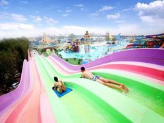 -秦皇岛乐岛海洋王国