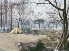 -玄武湖景区-情侣园游乐场