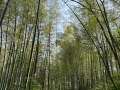 -南山风景名胜区