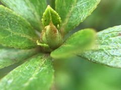 -苏州河梦清园环保主题公园