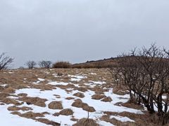 -秦岭风景区