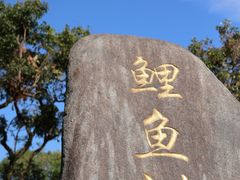 -福建鲤鱼洲酒店