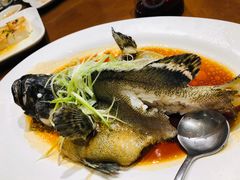 蒸青斑-香山家宴