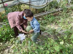 -甜心庄园·甜心草莓采摘园(西青中北店)