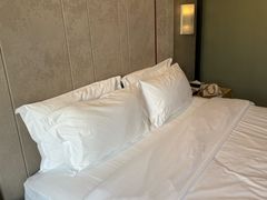 -麗枫(广州番禺长隆南村万博地铁站店)