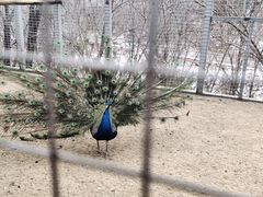 -北京市海淀外国语实验学校