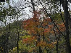 -玉渡山自然风景区