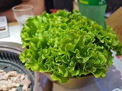 -杨记齐齐哈尔烤肉(总店)