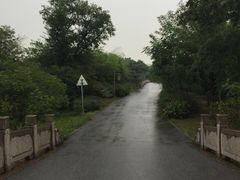 -梁鸿国家湿地公园