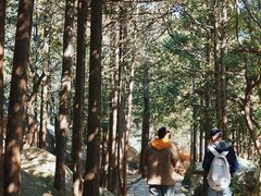 -青岛崂山太清宫