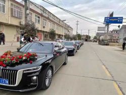 -蚂蚁婚车