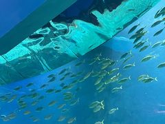 -海合安青岛极地海洋公园