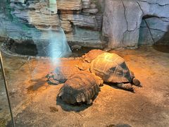 -石家庄市动物园