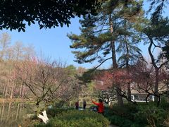 -杭州植物园