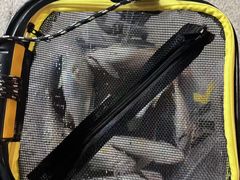 -鑫艋游艇海钓俱乐部